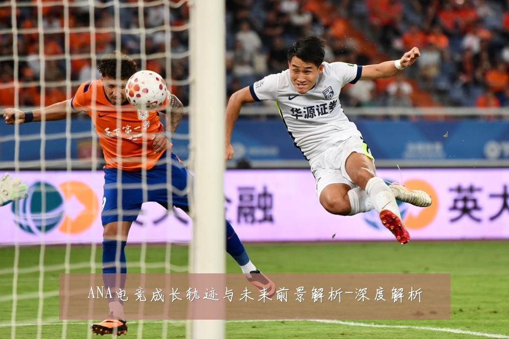 ANA电竞成长轨迹与未来前景解析-深度解析