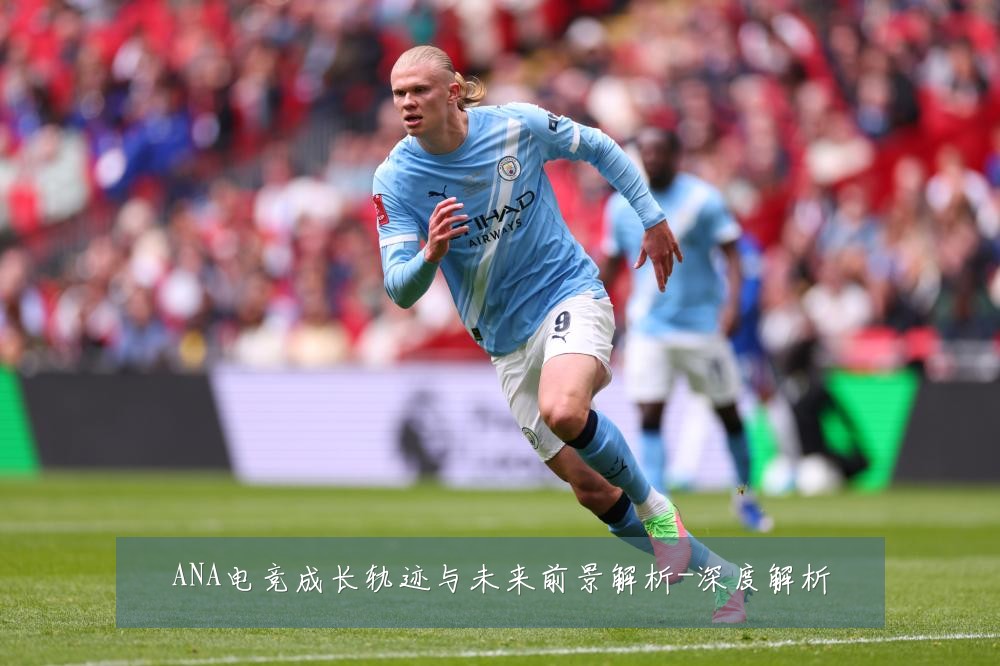 ANA电竞成长轨迹与未来前景解析-深度解析
